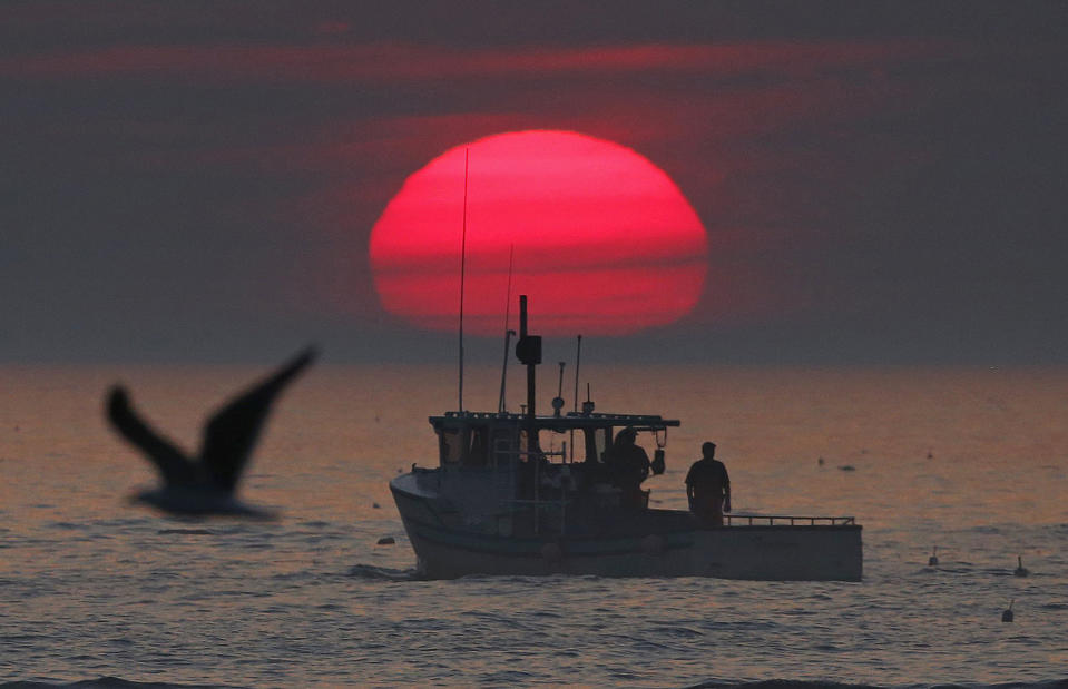 A lobster boat heads out to sea at sunrise, off Kennebunkport, Maine, in 2015. (Robert F. Bukaty / AP file)