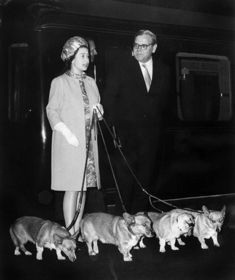 Queen Elizabeth II arrives at King’s Cross railway station in 1969 with corgis in tow (STF/AFP via Getty)