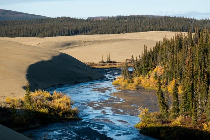 Kobuk Valley Dunes