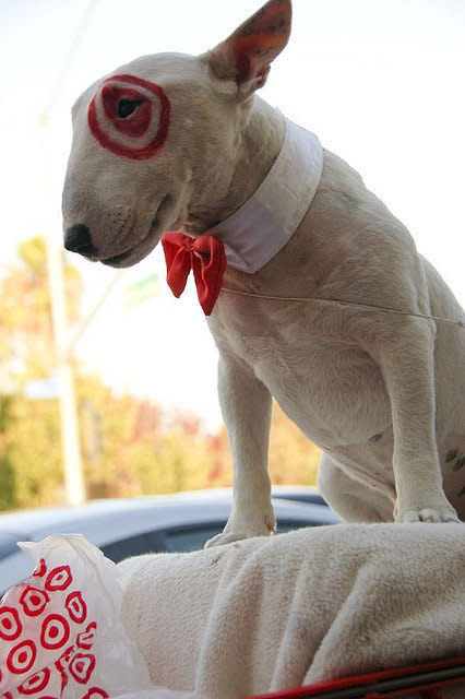 If you have this type of dog you've got one great last-minute costume idea.