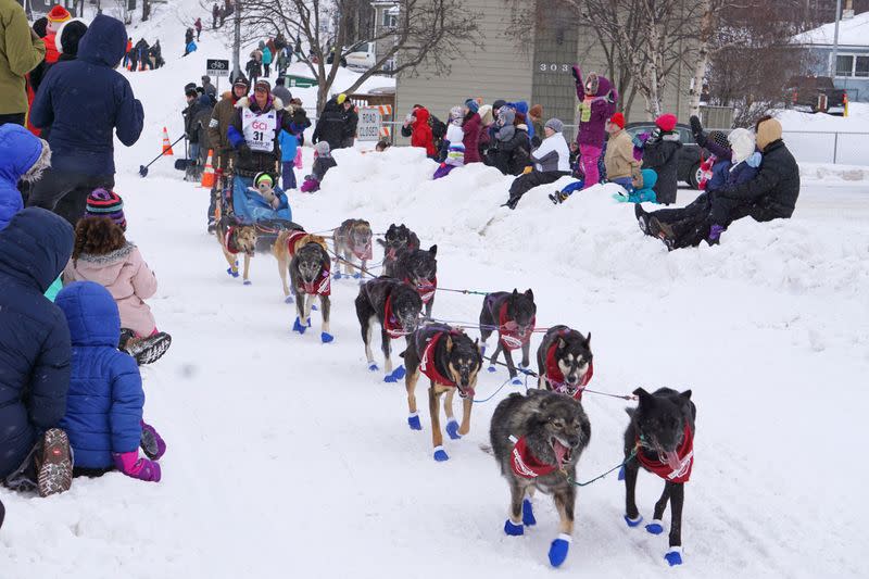 Musher Jessie Royer, bib 31, who finished in third place in the 2019 race, steers her sled down a hill in Anchorage during the ceremonial start of the 2020 Iditarod Trail Sled Dog Race