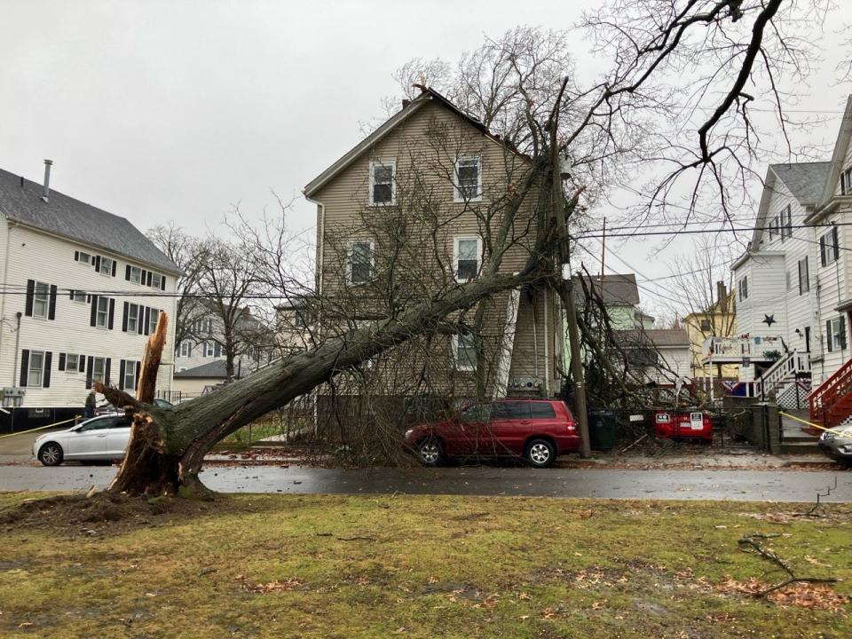 A tree on Seabury Street broke off due to heavy winds Monday morning, crashing into a telephone pole with a transformer, which crashed into a house at 238 Seabury.