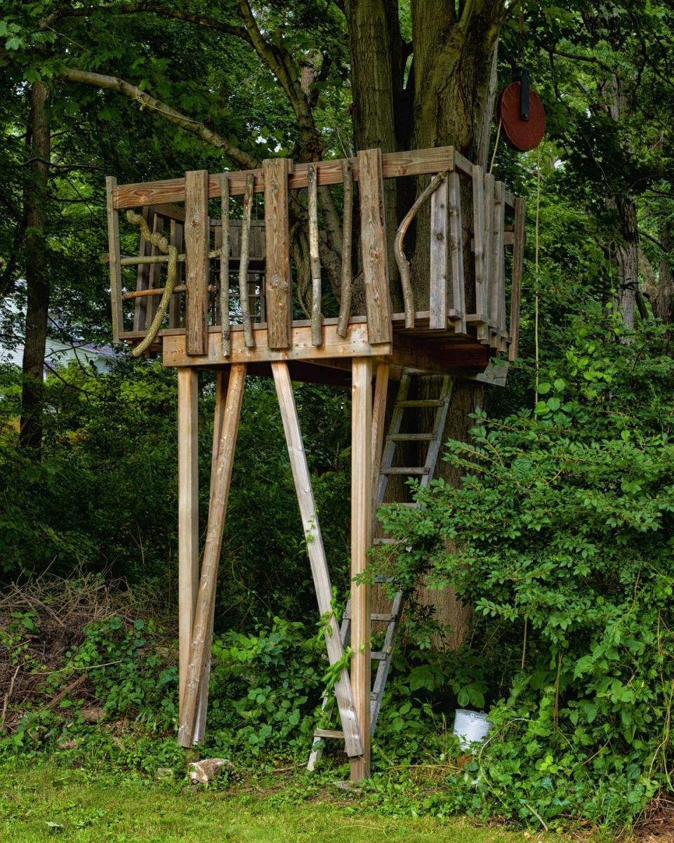 Build a Treehouse