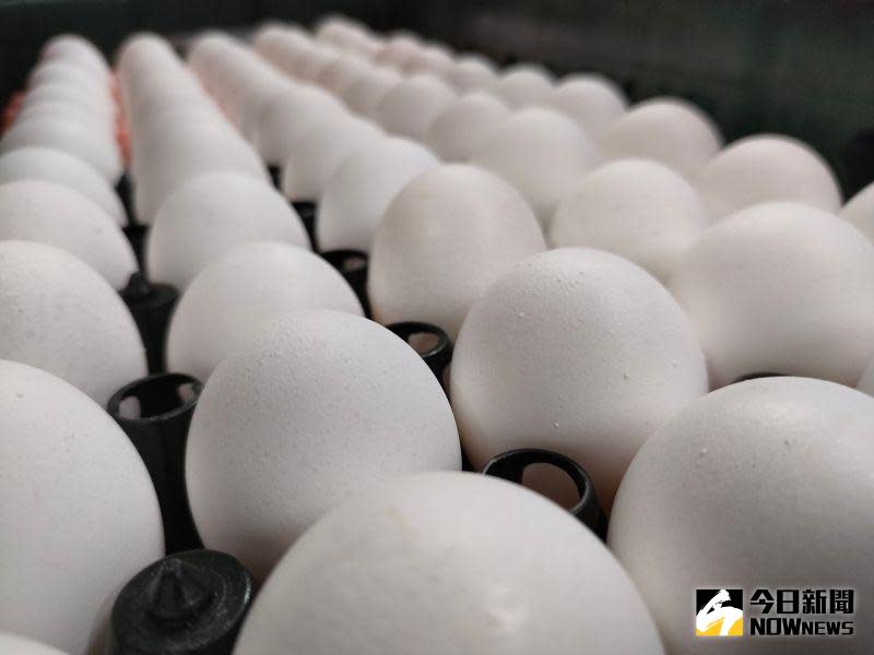▲近期受到禽流感、氣溫等因素影響，台灣雞蛋產能受到影響，價格也漲了。（圖／記者許若茵攝，2023.03.05）