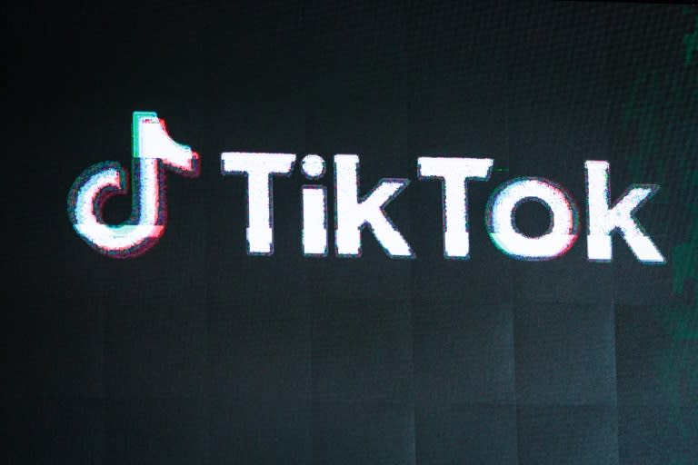 The appetite for short-form video online is expected to remain strong even if TikTok is banned in the United States, boding well for rival platforms (Yasuyoshi CHIBA)