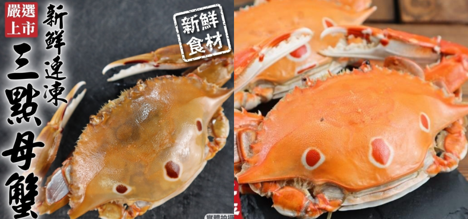【秋季高級海鮮優惠】三點蟹最為出眾，價格親民的同時體型碩大、肉質飽滿。

