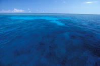 Tubbataha Reef, Sulu Sea, Philippines