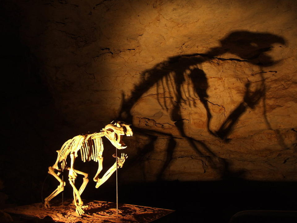 發現袋獅骨架的納拉寇特洞穴 (Photo by Karora, Wikimedia Commons提供) 