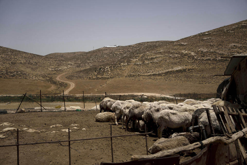 An Israeli settlement tops a hill overlooking sheep in their pen in a hamlet in the South Hebron Hills, West Bank, Friday, May 17, 2024. Palestinians say they are restricted by Israeli settlers from grazing land and face harassment, intimidation and violence. (AP Photo/Maya Alleruzzo)