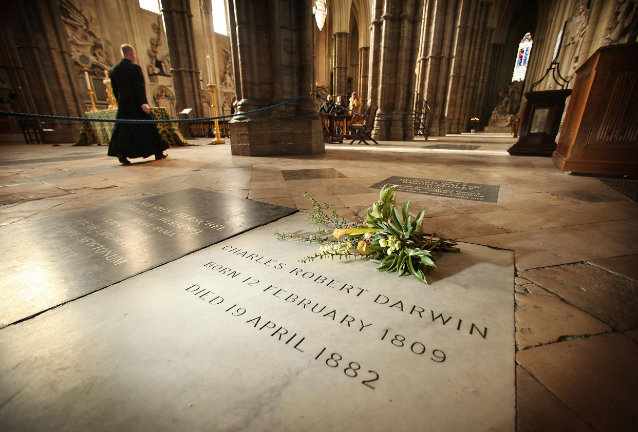 A wreath of plants from Charles Darwin's garden lie on his grave on the 200th anniversary of his birth at Westminster Abbey on February 12, 2009 in London. The Helleborus and Berberis Darwinii (discovered in South America in 1885 by Darwin during the voyage of the Beagle) placed on the grave of Darwin in the Abbey are taken from the garden of Down House in Kent - where he researched and wrote 'On The Origin of Species' published in 1859. An evensong followed by a wreath laying ceremony, attended by decendent's of Darwin, will take place tonight at The Abbey.  (Photo by Peter Macdiarmid/Getty Images)