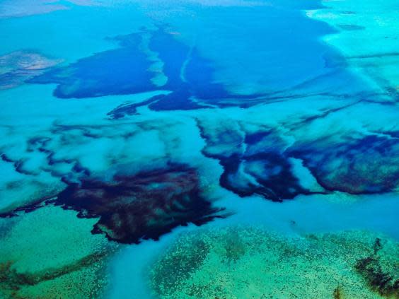 An aerial photograph shows oil drifting ashore over coral reefs from the MV Wakashio (EPA)