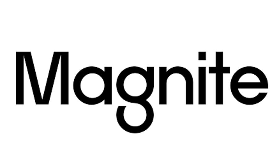  Magnite survey logo 