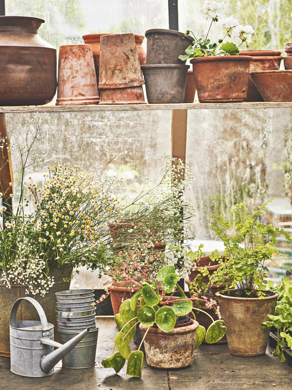 Potter in a potting shed