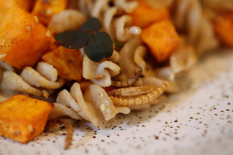 Un plato hecho con gusanos de la harina y cocinado por el chef francés Laurent Veyet se ve en su París, Francia