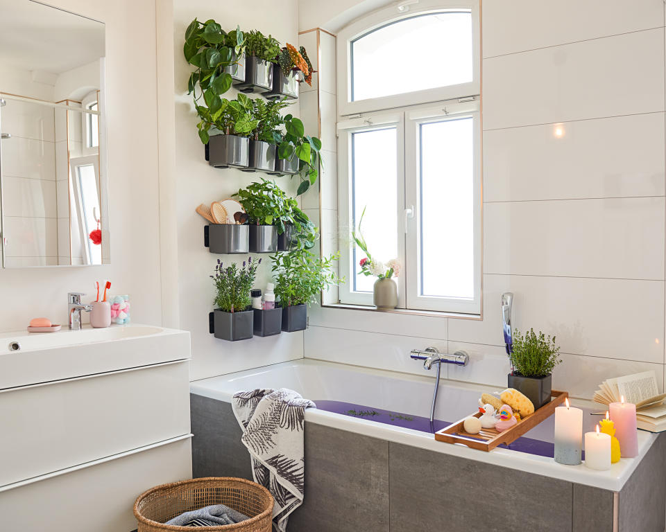 12. Create a spa-esque view with houseplants