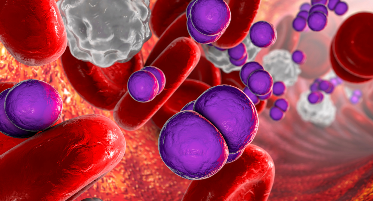 What is invasive meningococcal disease? (Image via Getty Images)