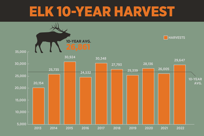 Elk hunting harvests are forecast to be above average in the hunting season ahead