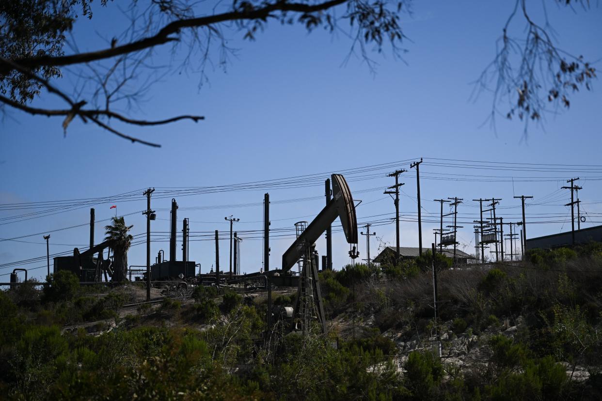 A pumpjack pumps oil in a forest of telephone poles.