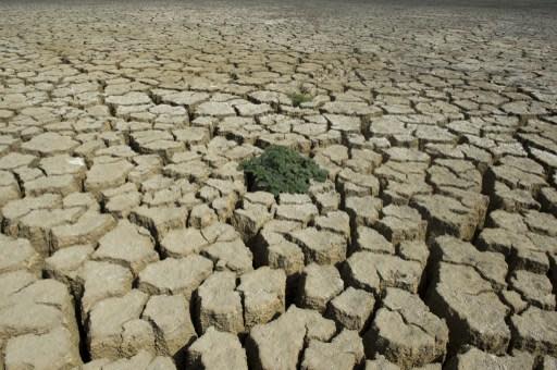 聖嬰現象延遲往常降雨的時間，恐在非洲南部引發饑荒。 (圖:AFP)