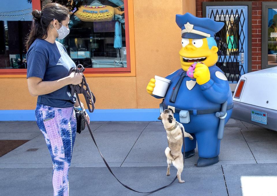 A person with a dog on a leash. The dog looks at a "Simpsons" character statue.