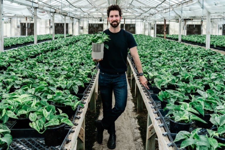 Lionel Mora, co-founder of French startup Neoplants, poses for a portrait inside the greenhouse where they grow Marble Queen pothos plants in Lodi, Calif. (Andri Tambunan)