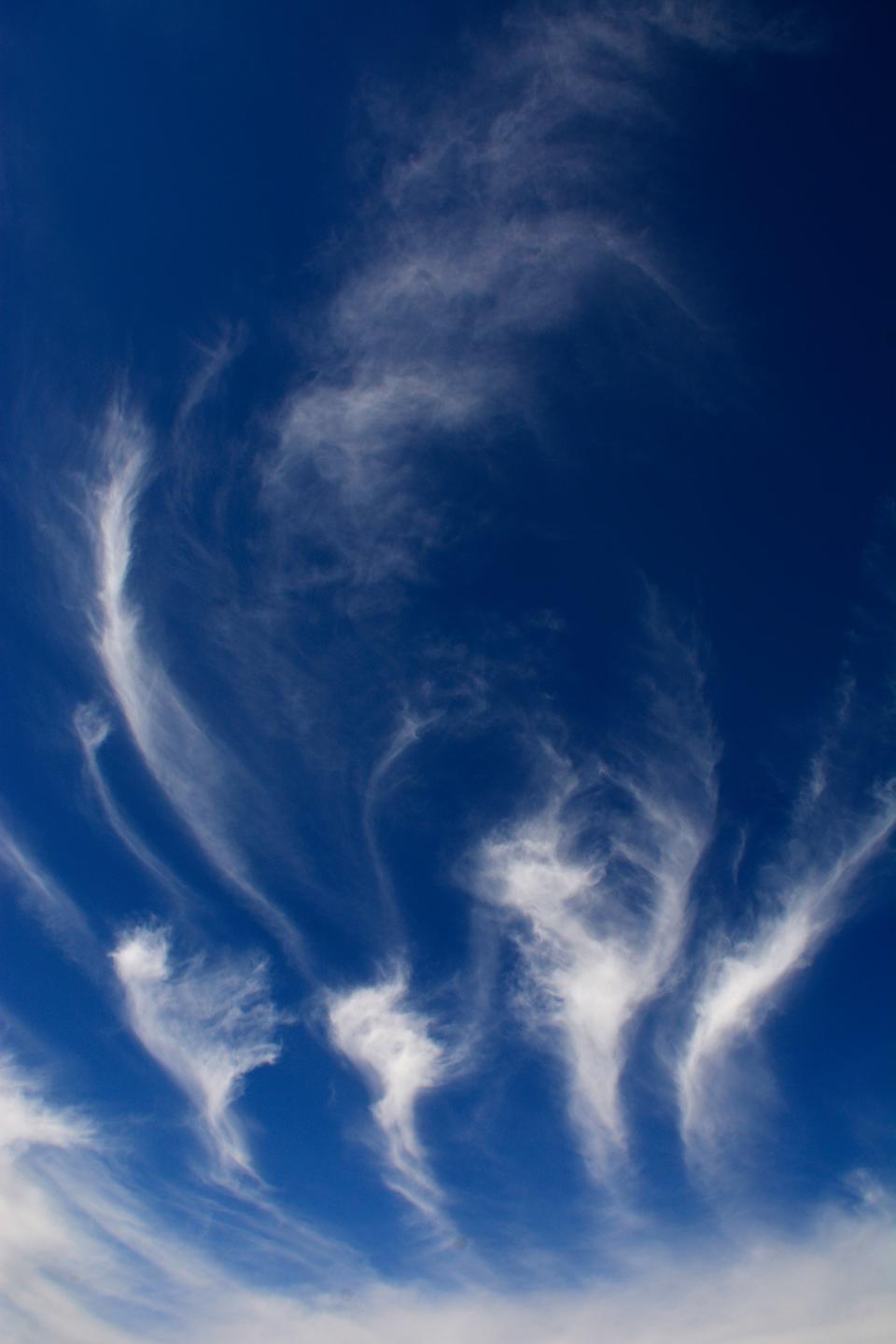 Cirrus clouds reflect sunlight and absorb warming infrared radiation. However, these clouds differ from most in that their absorption outweighs sunlight reflection. Critics, however, believe there's a limited understanding of cirrus microphysics.