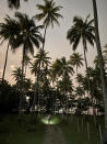A woman illuminates her path with a flashlight as she walks under coconut trees at dusk in Boipeba Island, Brazil, in this Friday, June 10, 2022 iPhone photo . (AP Photo/Felipe Dana)