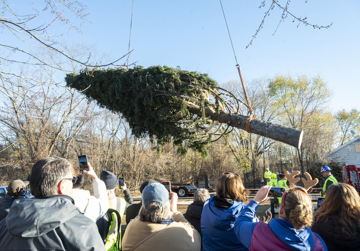  Area residents look on as the Rockefeller Center Christmas Tree, an 82-foot tall, 14-ton Norway Spruce, that has been wrapped for transport, is guided onto a flatbed truck, Thursday, Nov. 10, 2022, in Queensbury, NY. The wrapped tree will be brought into (Diane Bondareff / AP)