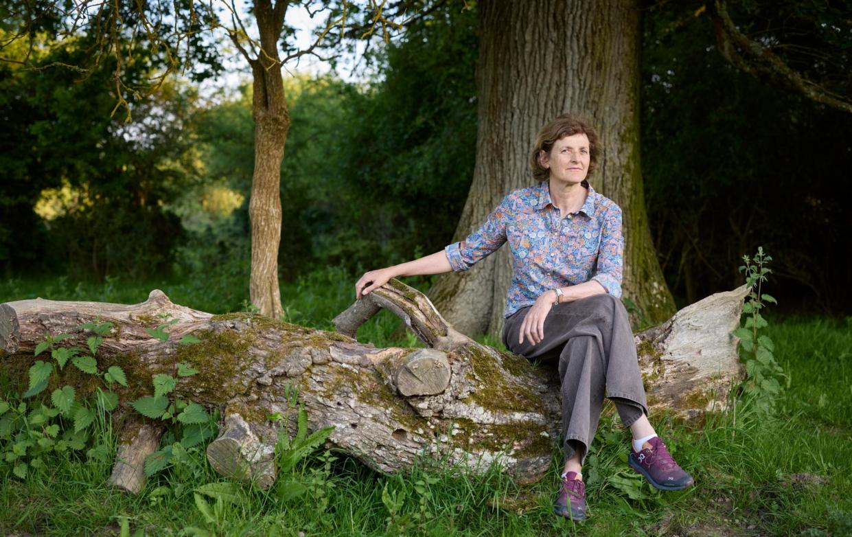 <span>‘Rewilding teaches you to let go’ … Isabella Tree at the Knepp nature reserve in West Sussex.</span><span>Photograph: David Levene/The Guardian</span>