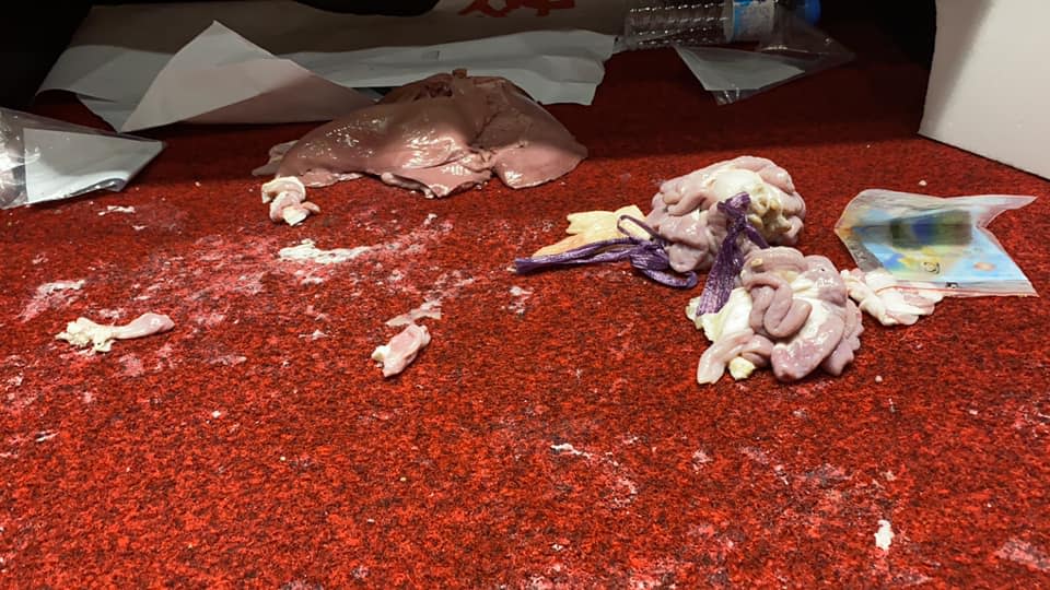 濕黏的豬內臟散佈議場，清理相當困難。   圖/林楚茵臉書