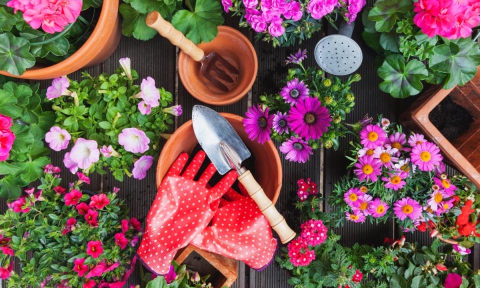 A table filled with flowers, planters, gloves and gardening tools