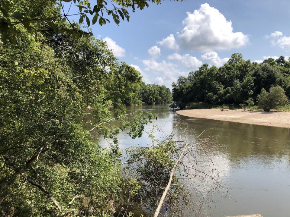 bogue chitto state park