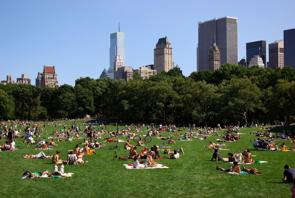 sheep's meadow central park