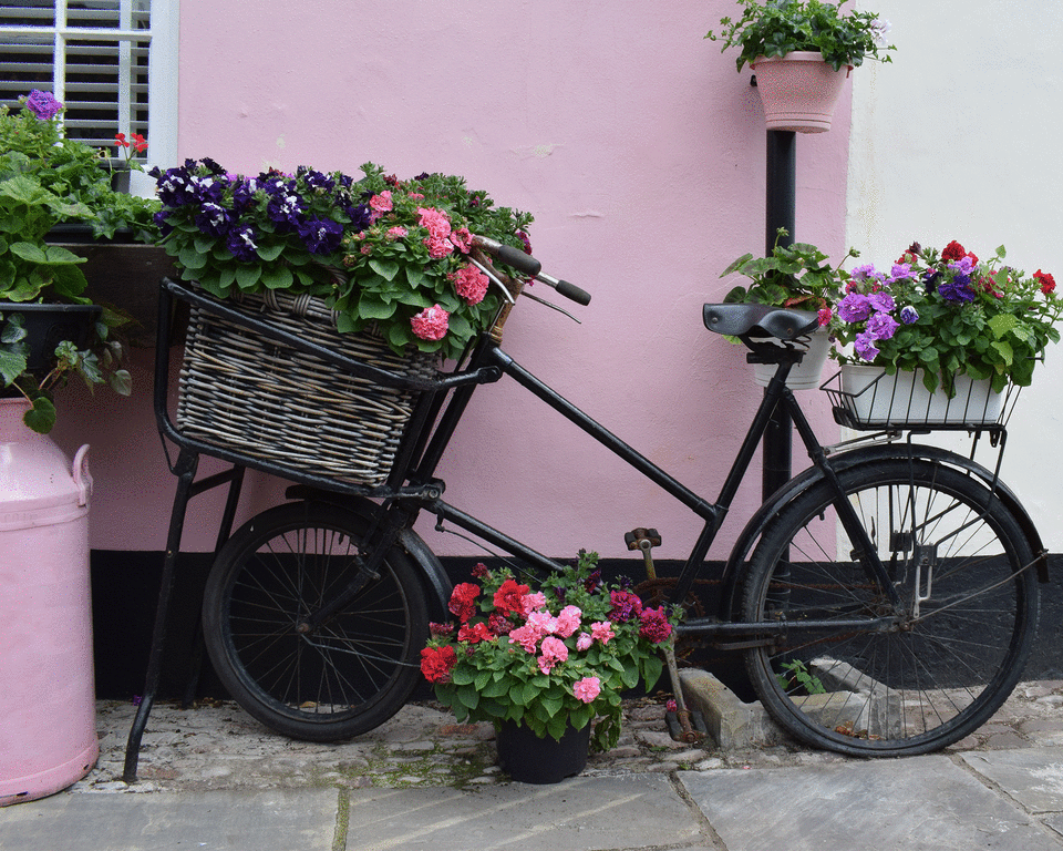 11. Add some kerb appeal with a bike planter