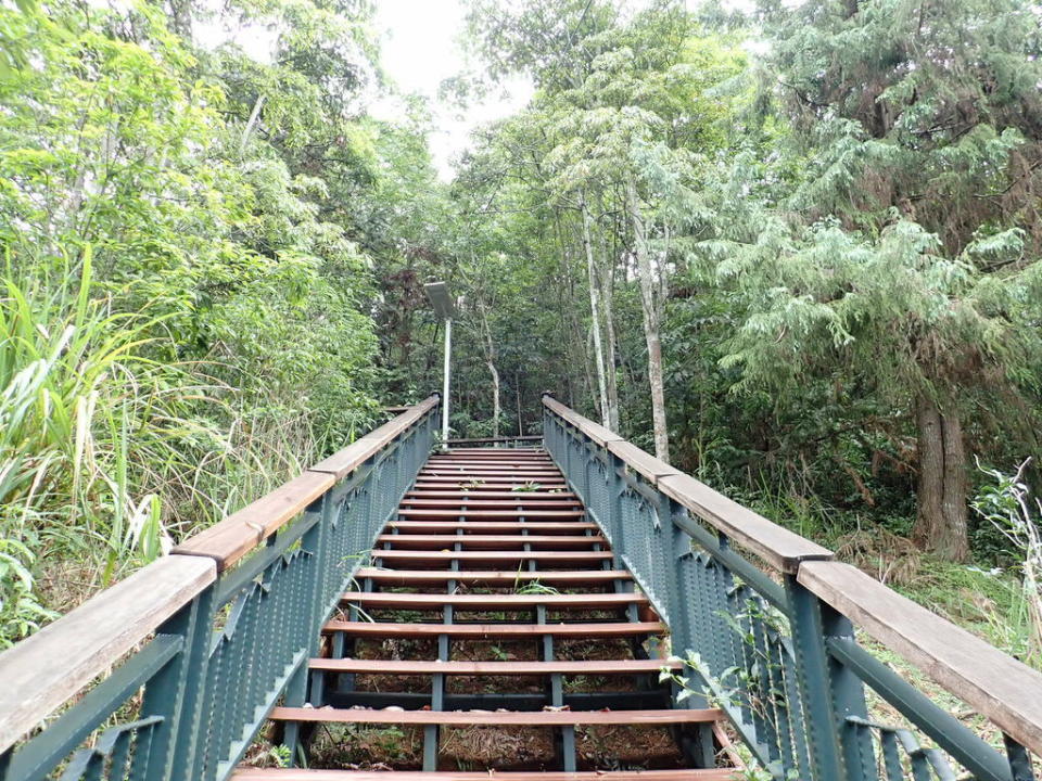 南投金龍山步道