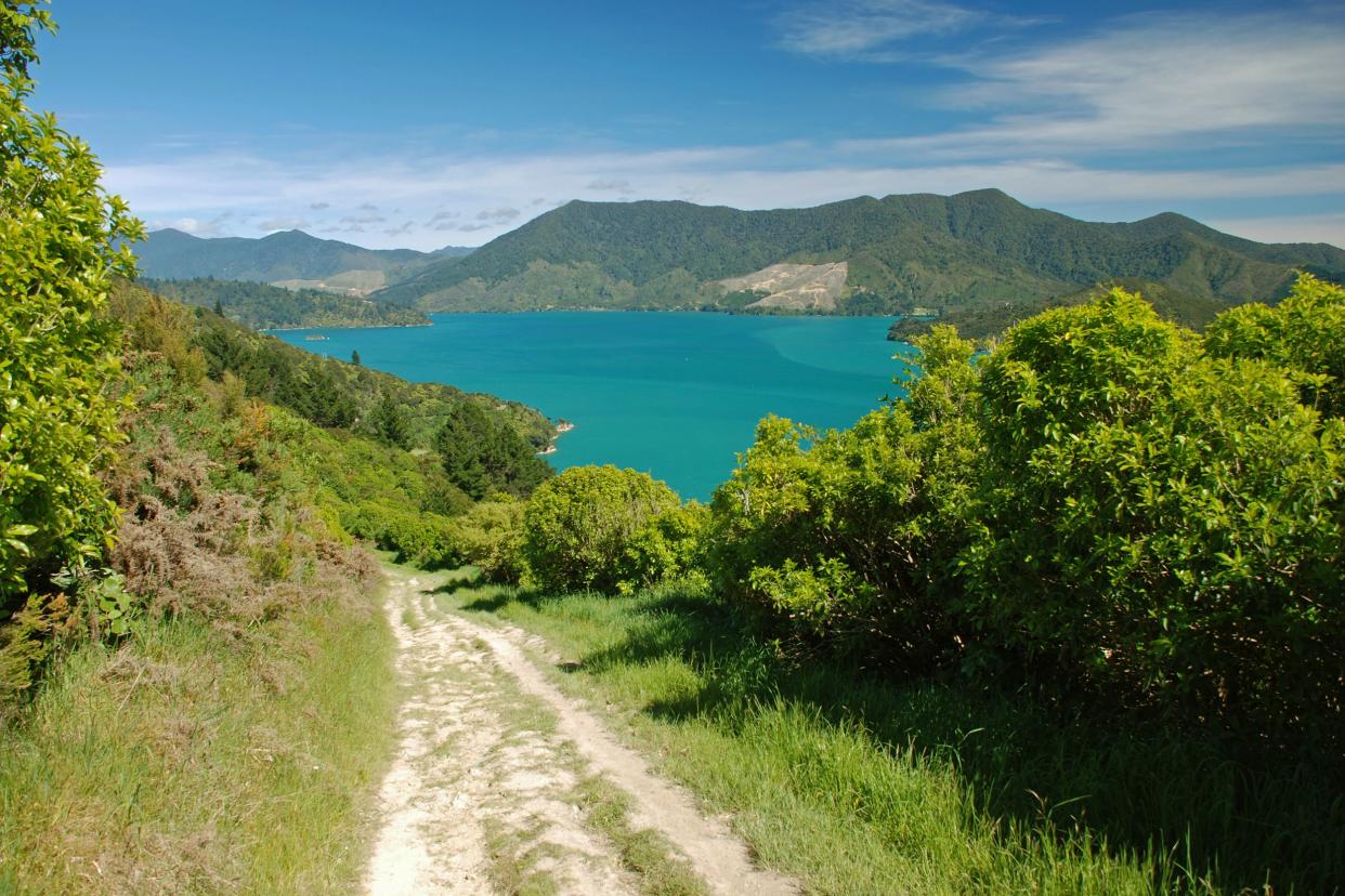 Queen Charlotte Track