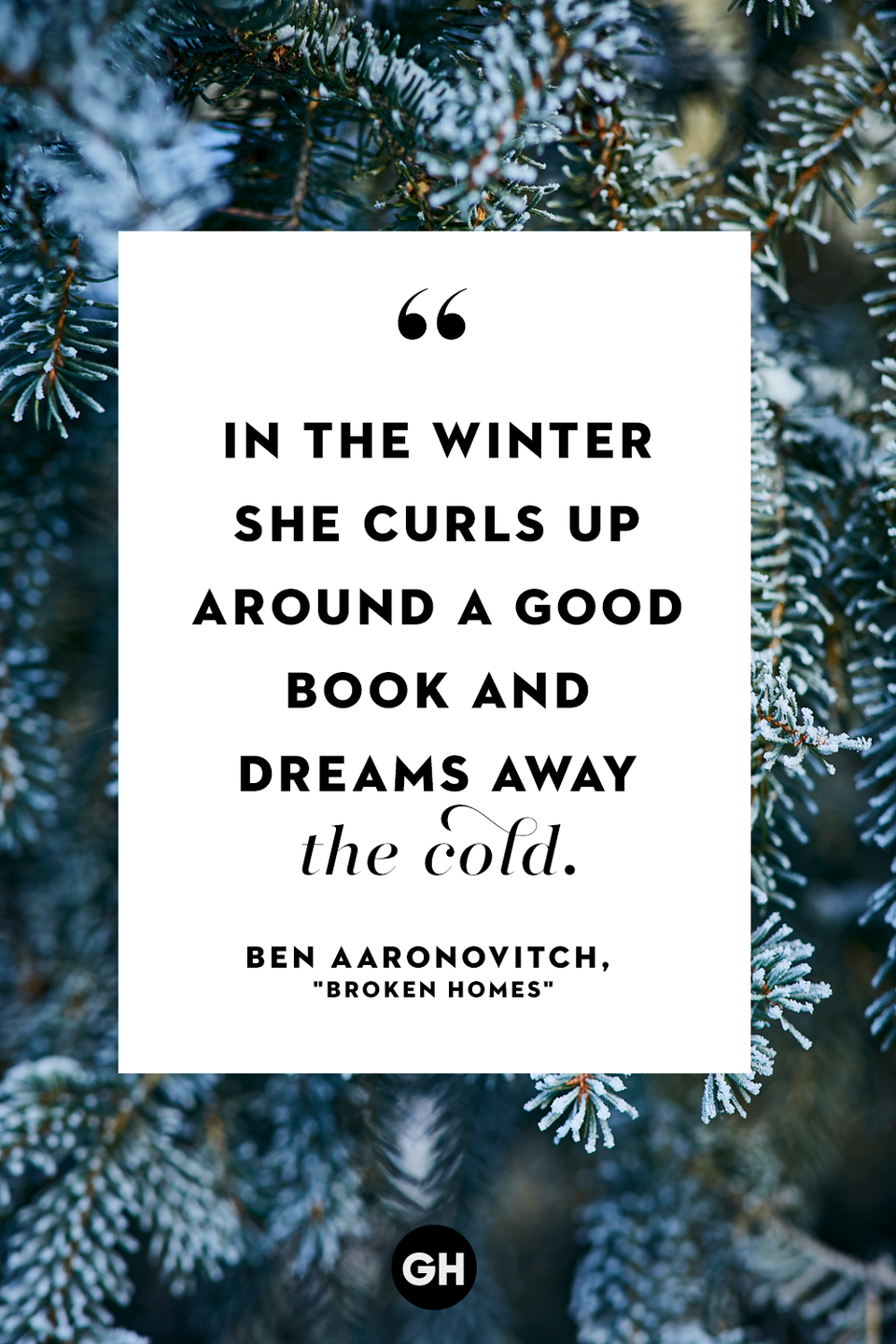 Ben Aaronovitch, "Broken Homes"