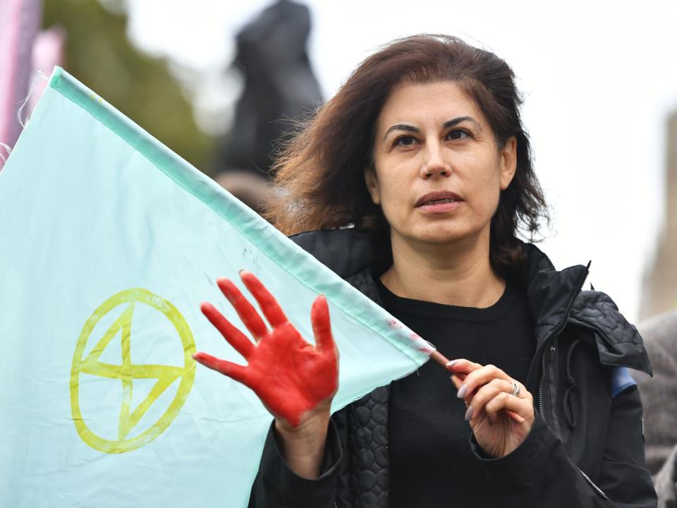 Extinction Rebellion protester red hand westminster: PA