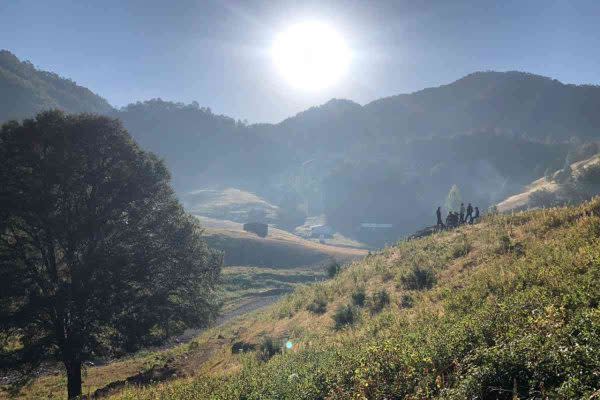 La defensa de los bosques de la Sierra de Chiahuahua han cobrado la vida de varios defensores del medio ambiente en México.