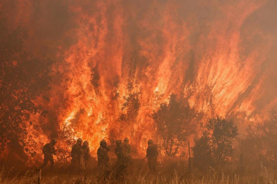 Firefighters at a wildfire in Pumarejo de Tera near Zamora, northern Spain, in June (AFP via Getty Images)