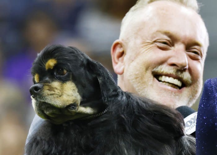 Canines compete in Westminster Dog Show 2024