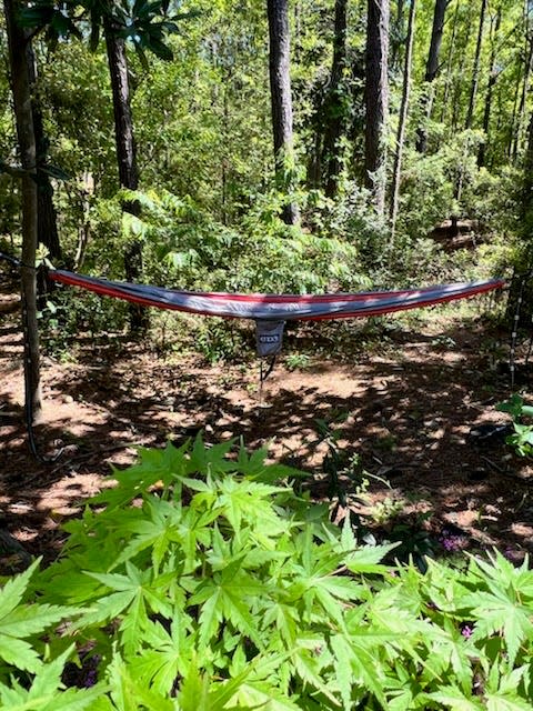 Adding a hammock in your landscape elevates your nature experience.