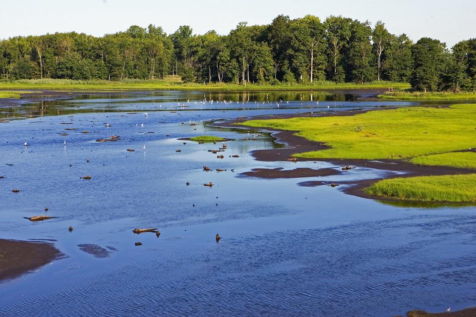 Bombay Hook National Wildlife Refuge in Smyrna, Delaware was constructed by a segregated Black Civilian Conservation Corps crew.