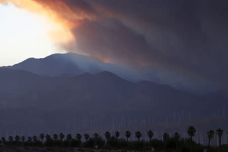 A smoke plume from the Lake Fire in the San Bernardino National Forest is seen at sunset, rising over the Coachella Valley from Palm Springs, California, June 18, 2015. REUTERS/Sam Mircovich