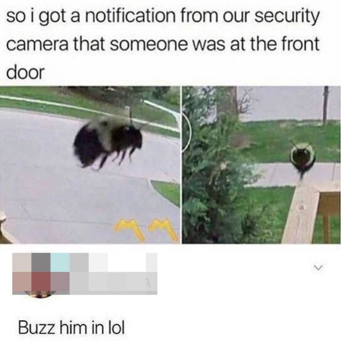 "Buzz him in lol"