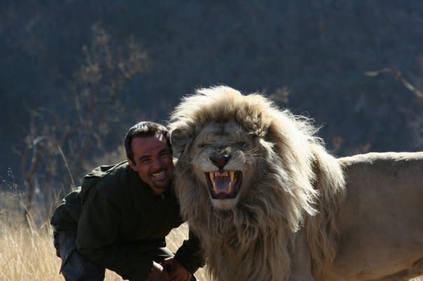 Hombre en Sudáfrica arriesga la vida conviviendo con Leones