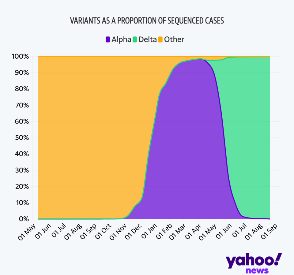 COVID variants as a proportion of sequenced cases in the UK (Wellcome Sanger Institute/Yahoo News UK/Flourish)