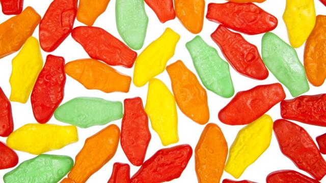 Why is Swedish Fish the most popular Halloween candy in Georgia?