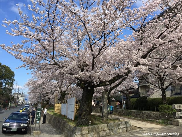 ▌京都。賞櫻▌必訪!浪漫指數破表♥哲學之道♥小橋流水。雪櫻滿開的河道美景