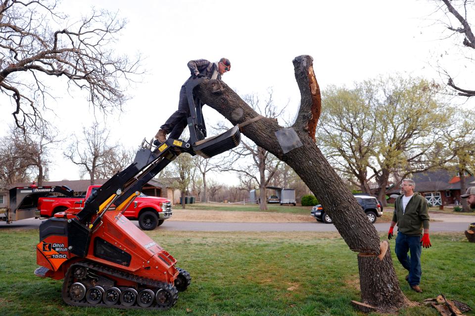 Tom Menasco, right, and Taylor Mick take down a section of a tree containing a beehive March 16 before moving it to a property near Beth and Tom Menasco's other treatment-free hives in Edmond.